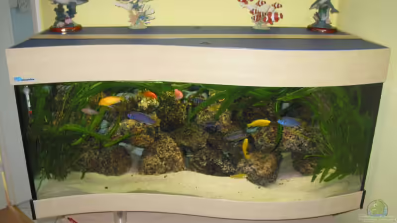 Aquarium Becken 607 von Daniel Hieber (2)