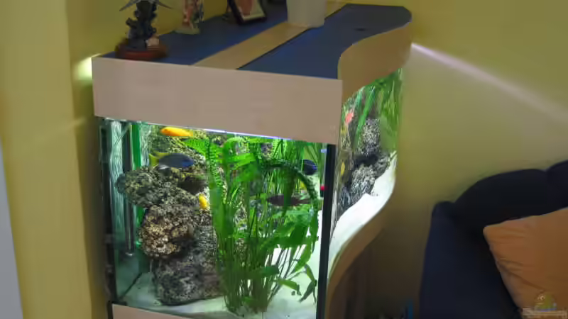 Aquarium Becken 607 von Daniel Hieber (3)