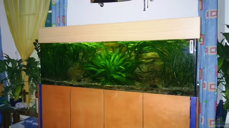 Aquarium Becken 6113 von Ulf Bruder (2)