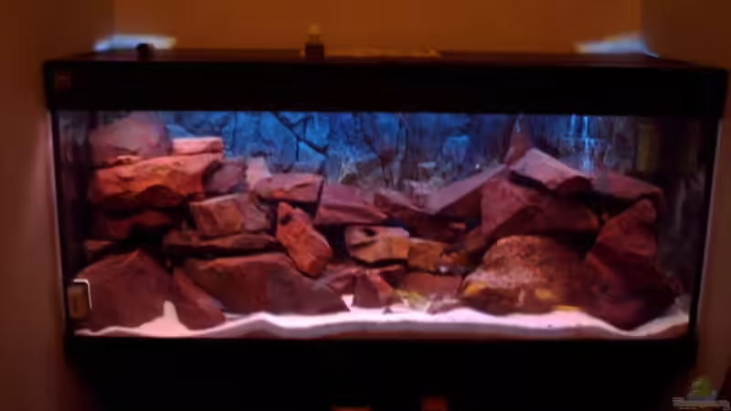 Aquarium Becken 6135 von MDenzer (3)