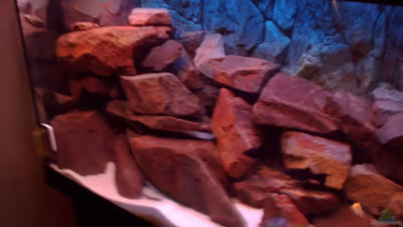 Aquarium Becken 6135 von MDenzer (4)