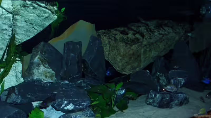 Aquarium Becken 6141 von Sebastian Pietrzyk (4)