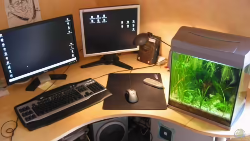 Aquarium Becken 6196 von Insulaner (6)