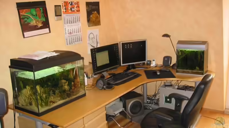 Aquarium Becken 6196 von Insulaner (9)