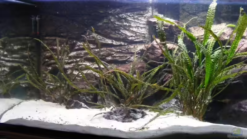 Aquarium Becken 6207 von Mike Hügi (2)