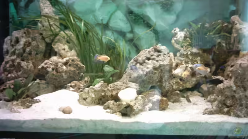 Aquarium Becken 621 von Matthias Schott (3)