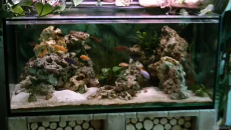 Aquarium Becken 621 von Matthias Schott (4)