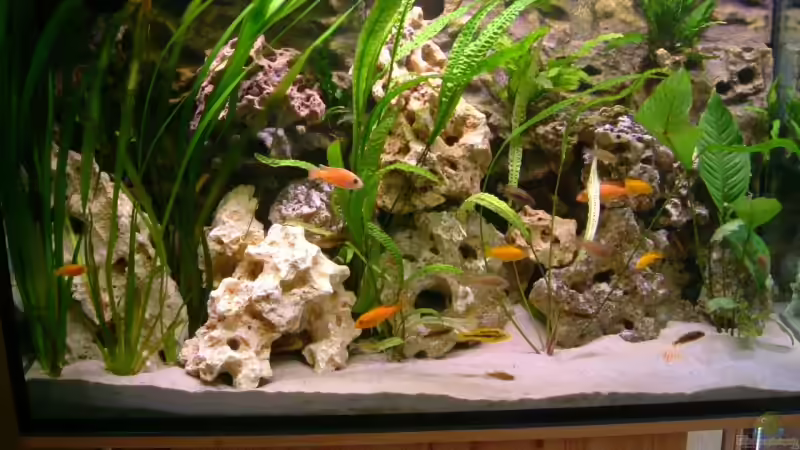 Aquarium Becken 6244 von Oliver Rädel (6)