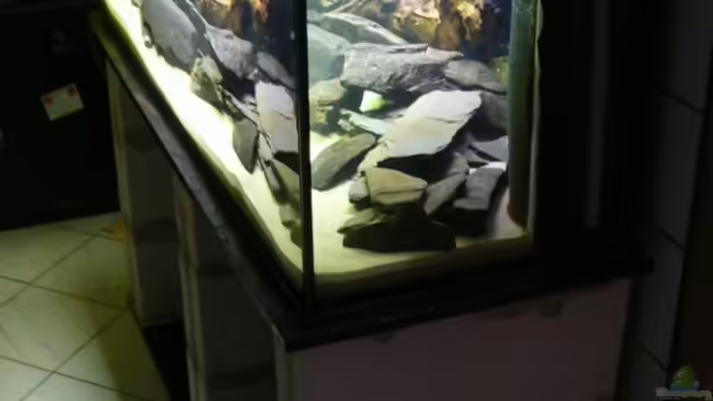 Aquarium Becken 6291 von René Leubecher (2)