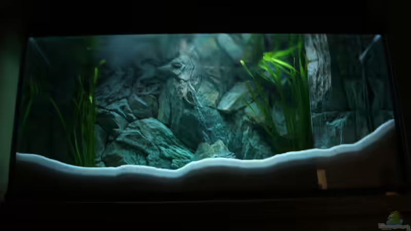 Aquarium Becken 6354 von Fabian Schulte (10)