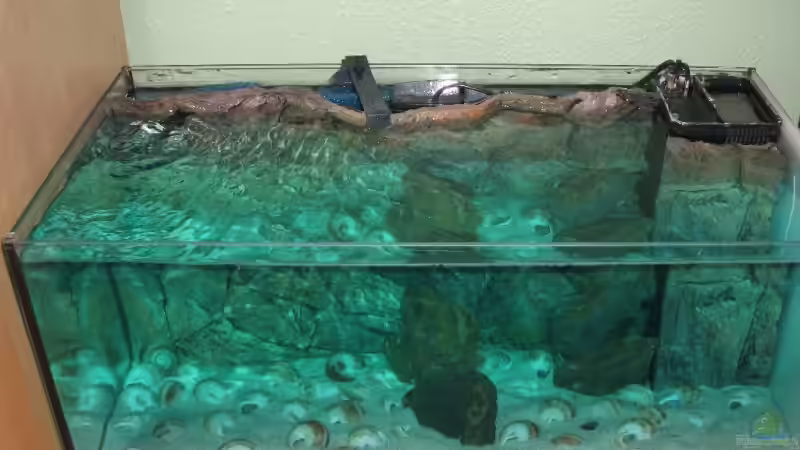 Aquarium Becken 6354 von Fabian Schulte (2)