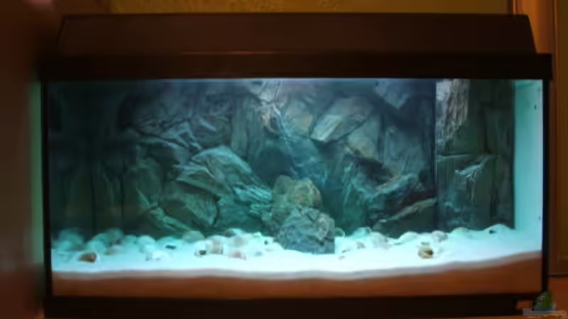 Aquarium Becken 6354 von Fabian Schulte (5)