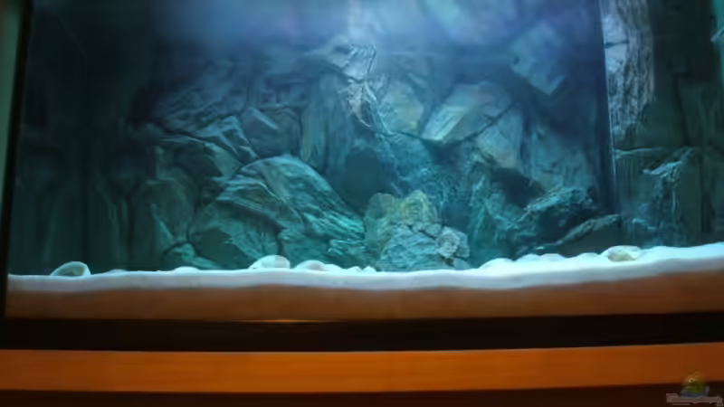 Aquarium Becken 6354 von Fabian Schulte (6)