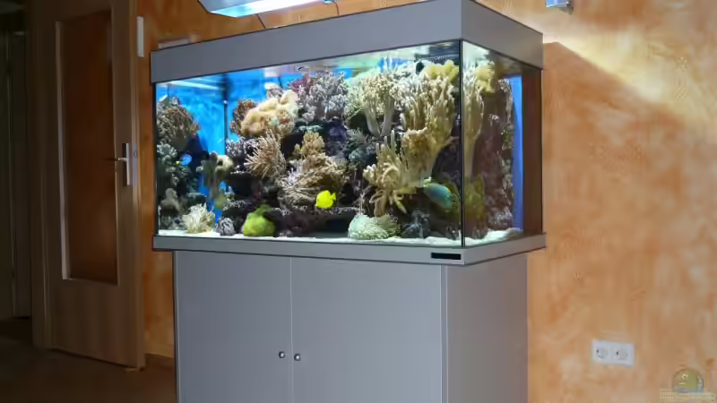 Aquarium Becken 6379 von Thomas Maik (6)