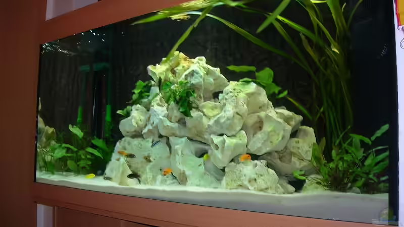 Aquarium Becken 6399 von ehemaliger User (3)