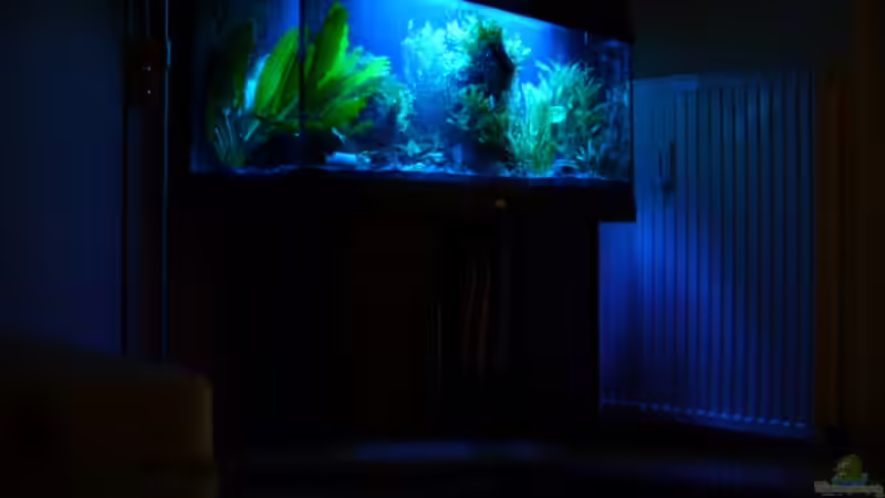 Aquarium Becken 6460 von Titan (6)
