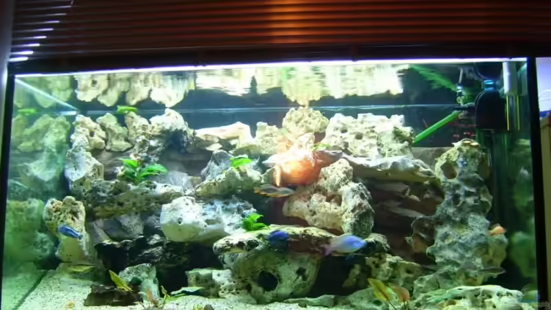 Aquarium Becken 6558 von Aqua-Man11 (2)