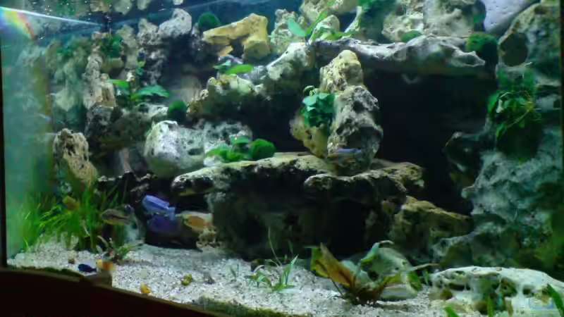 Aquarium Becken 6558 von Aqua-Man11 (5)