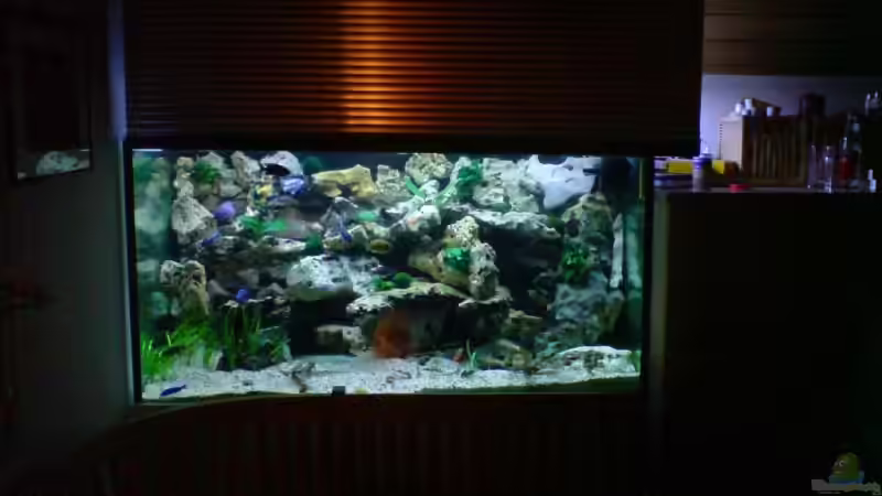 Aquarium Becken 6558 von Aqua-Man11 (7)