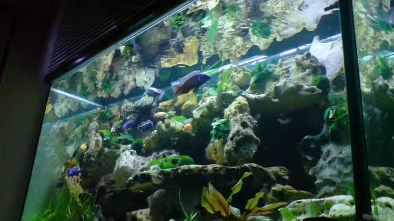 Aquarium Becken 6558 von Aqua-Man11 (8)