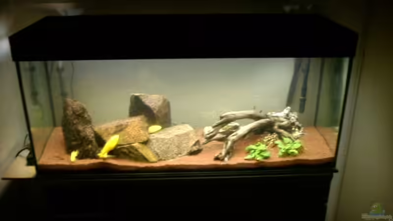 Aquarium Becken 6618 von Mista_Birdy (2)
