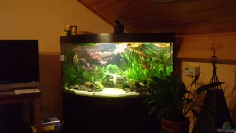 Aquarium Becken 6624 von Sandra Stoffels (3)