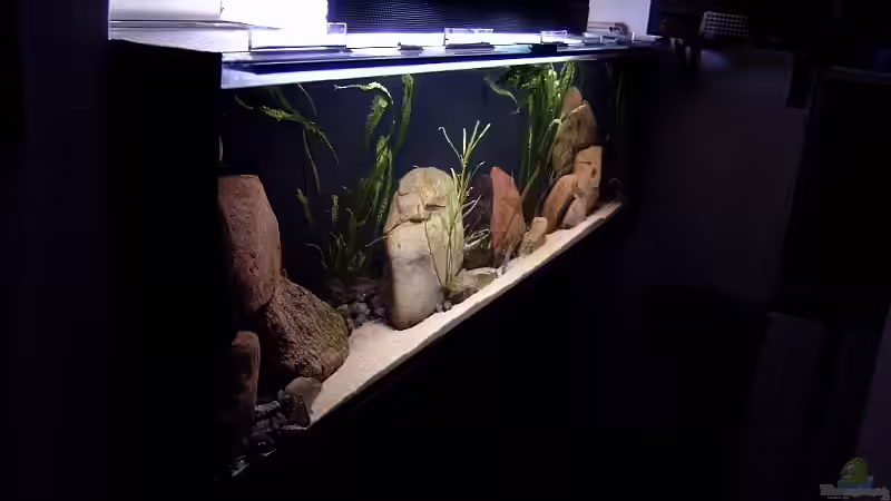 Aquarium Becken 6629 von Helgo Jacob (2)