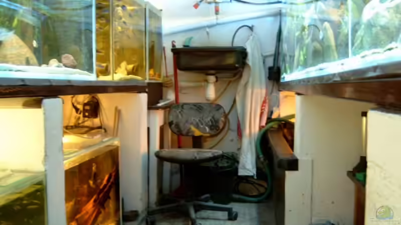 Aquarium Becken 6629 von Helgo Jacob (7)