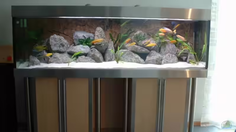 Aquarium Becken 6731 von Sascha Bolz (2)