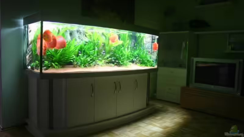 Aquarium Becken 6860 von Gerd Gerok (7)