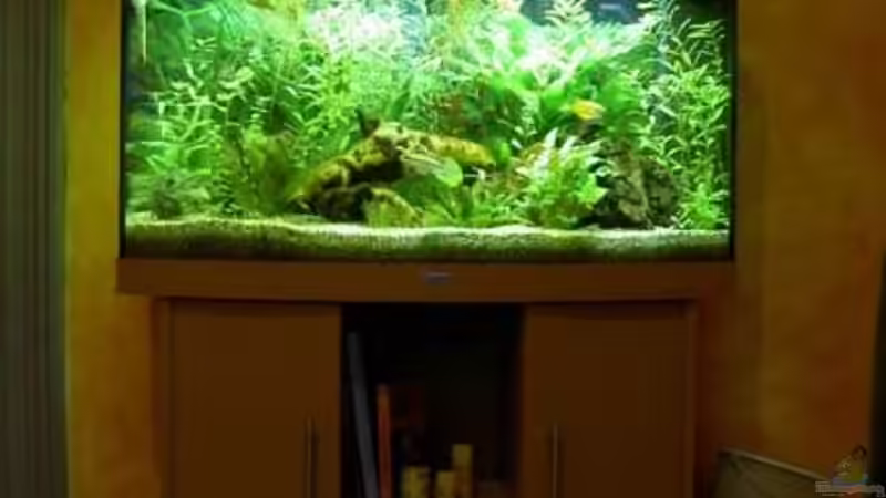 Aquarium Becken 6880 von SF123 (3)