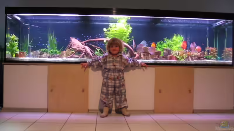 Aquarium Becken 6900 von Eberhard Brammer (2)