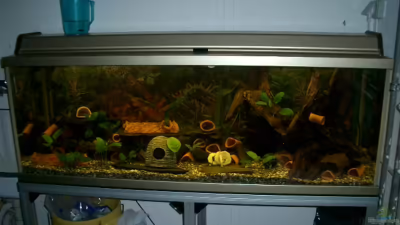 Aquarium Becken 694 von Gregor Spiller (2)