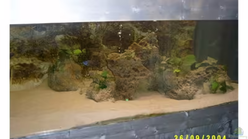 Aquarium Becken 703 von Philipp Schmid (3)