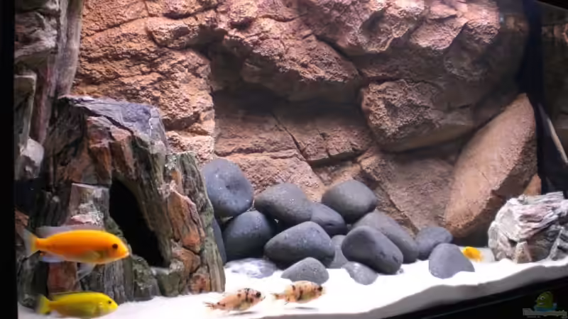 Aquarium Becken 7047 von Andreas Hoffmann (3)