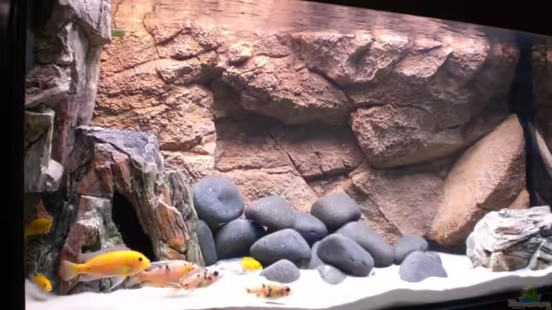 Aquarium Becken 7047 von Andreas Hoffmann (4)