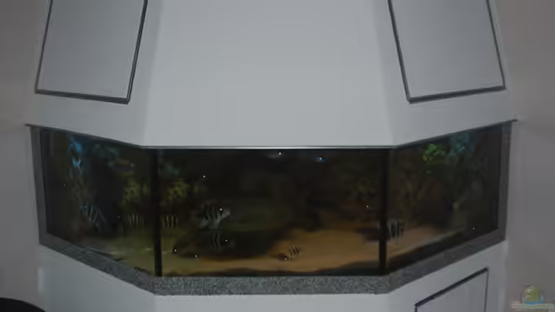 Aquarium Becken 705 von Dirk Abelshausen (4)