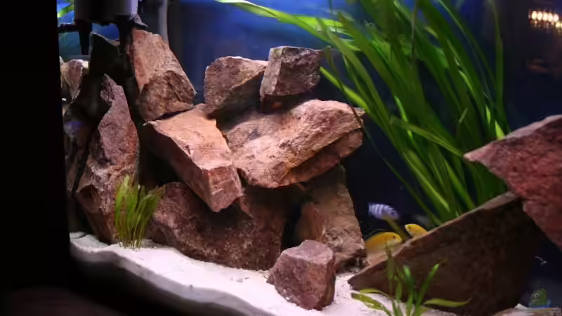 Aquarium Becken 7108 von Marco Vasev (5)