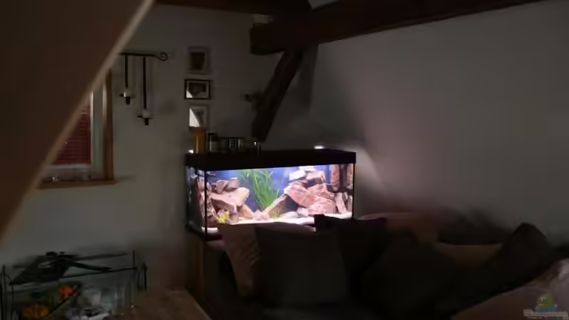 Aquarium Becken 7108 von Marco Vasev (8)