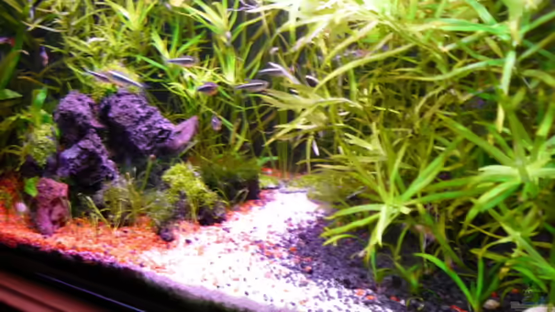 Aquarium Becken 7171 von s-chiller- (2)