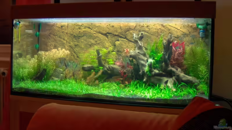 Aquarium Becken 7267 von Stefan Reinl (6)