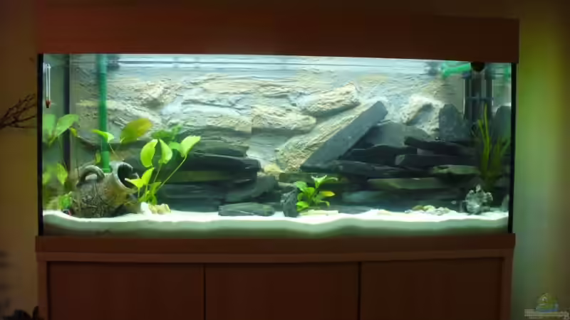Aquarium Becken 7305 von Knut Hillmer (2)