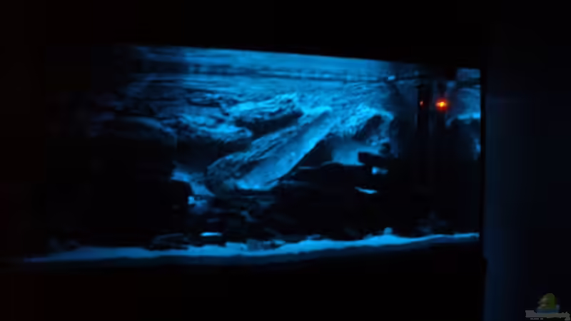 Aquarium Becken 7305 von Knut Hillmer (4)