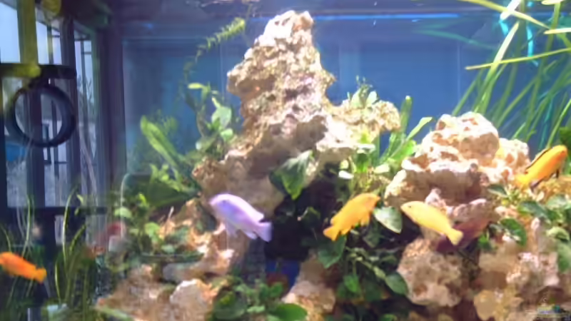 Aquarium Becken 7317 von FTE (2)