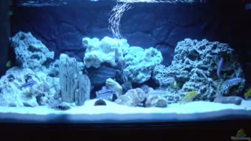 Aquarium Becken 7369 von O.K. (2)