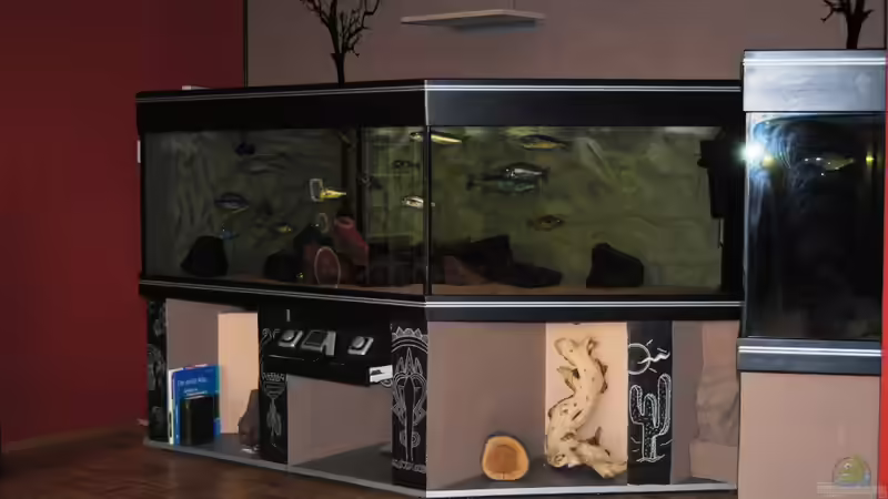 Aquarium Becken 7395 von Manni (2)