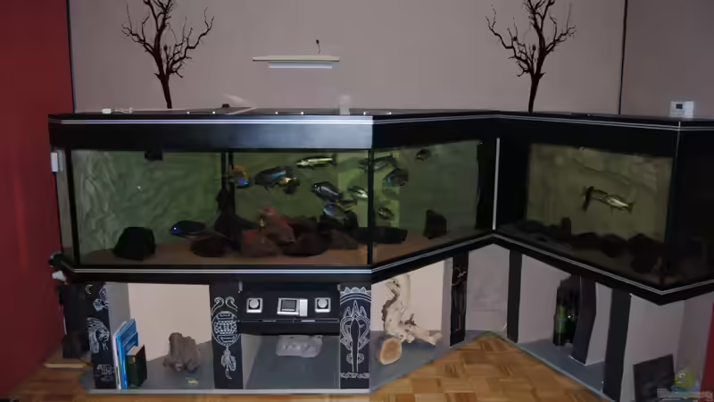 Aquarium Becken 7395 von Manni (3)