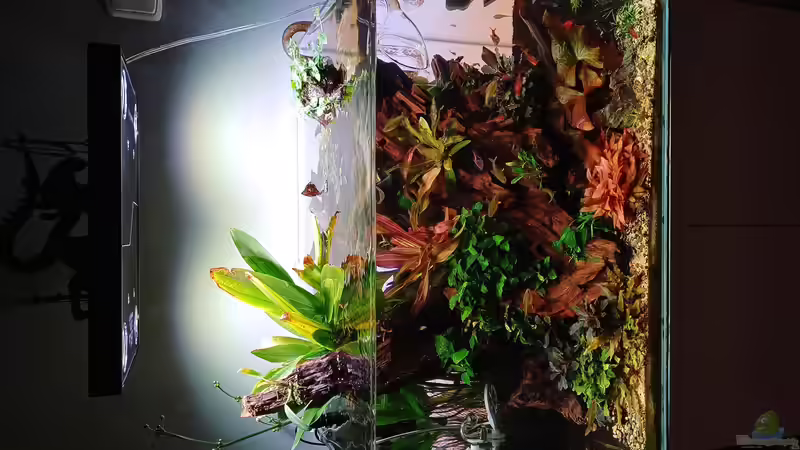 Aquarium Becken 7415 von Martin Vajs (3)