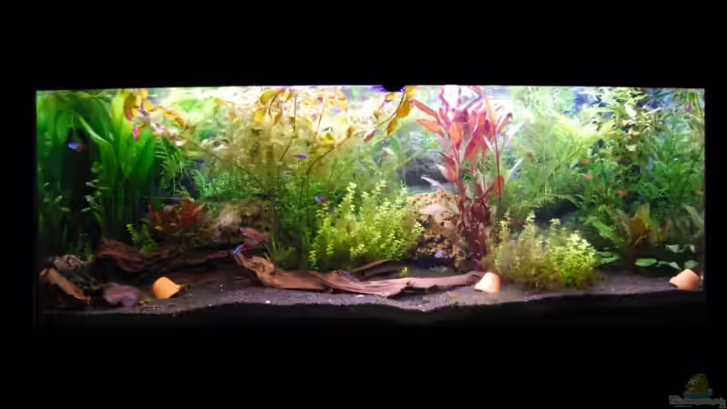 Aquarium Becken 7453 von Tobse (2)