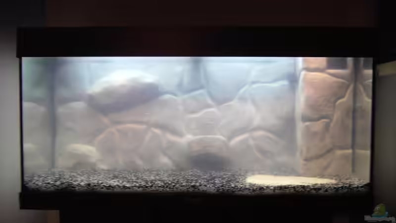 Aquarium Becken 7497 von Christian Böddecker (2)